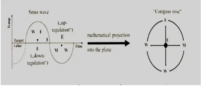 Ilustração 2 – Diagrama da onda sinusal e sua projecção num movimento circular “ Compass  rose” – (Greten H