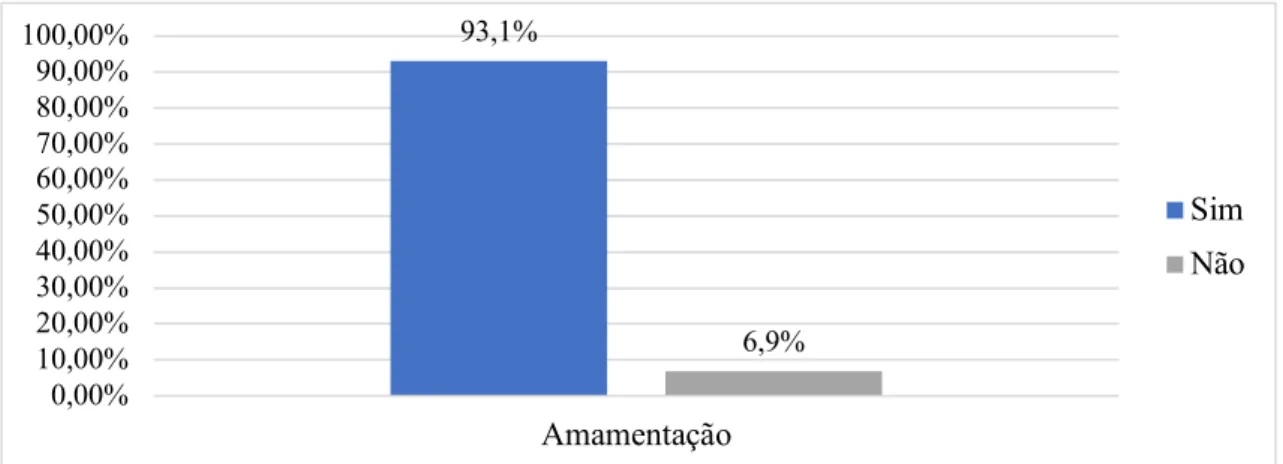 Gráfico 19 – Distribuição da amostra de acordo com o facto de ter sido ou não efetuada amamentação 