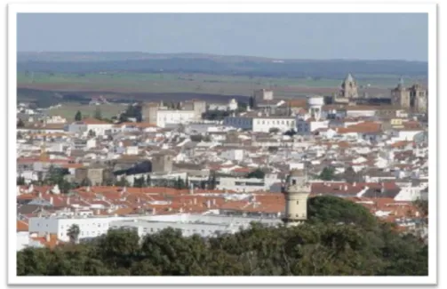 Figura 2 – Vista panorâmica da cidade de Évora 