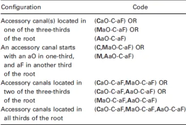 Tabela 1- Resumo da codificação utilizada na classificação da morfologia de raízes e canais radiculares