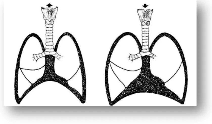 Figura 0-7: Da esquerda para a direita - expiração e inspiração. 10