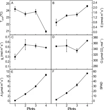 FIGURE 1 - Values of leaf temperature (Tleaf, A), transpiration (E, B), stomatal conductance (gs, C), in- in-tercellular CO2 concentration (Ci, D), leaf CO2 assimilation (A, B) and SPAD chlorophyll  readings (SPAD, F) of peach palms, on a typical winter da