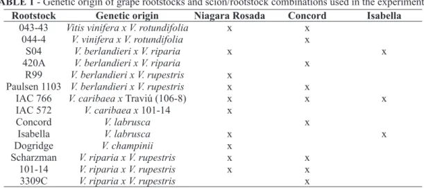 TABLE 1 - Genetic origin of grape rootstocks and scion/rootstock combinations used in the experiments