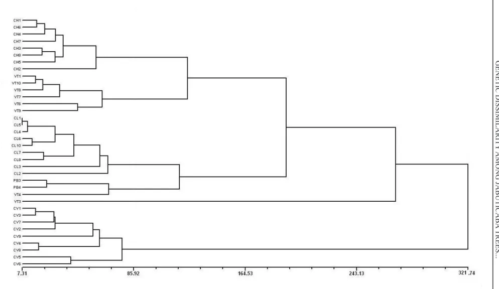 FIGURE 2- UPGMA dendrogram for 36 genotypes of jabuticaba tree applied to Mahalanobis’ distance matrix