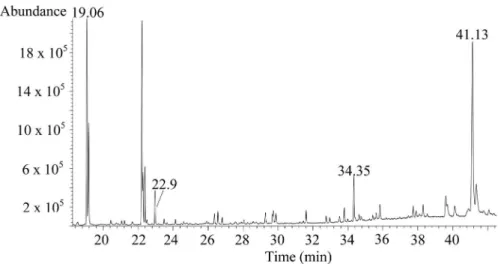FIGURE 4B - Chromatogram of lipid fraction of the seed oil from the Paulista jabuticaba genotype.