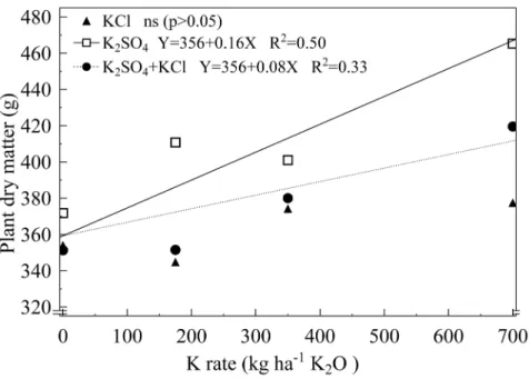 FIGURE 1 - Dry matter mass of pineapple plants influenced by rates and sources of potassium