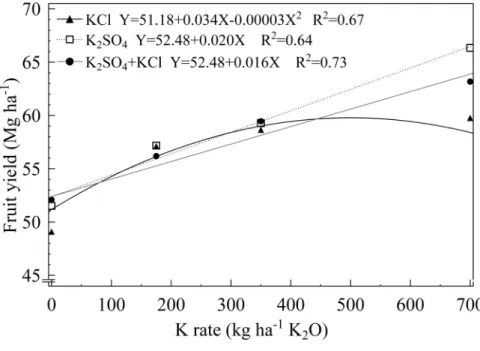 FIGURE 6- Fruit yield as influenced by rates and sources of potassium. Sampling in January 2005, 19  months after pineapple was planted