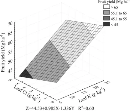 FIGURE 8 - Relationship between fruit yield of pineapple plants (Z), leaf K (X) and leaf Cl (Y) contents.