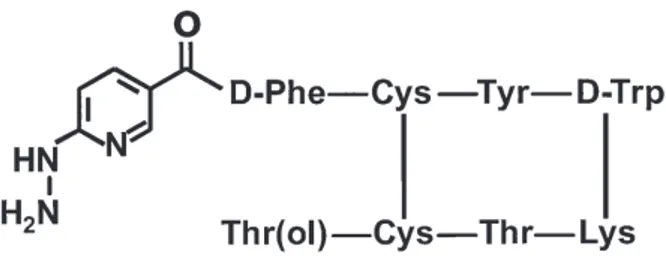 Figura 1- Estrutura do HYNIC-D-Phe 1 -Tyr 3  – octreotide (HYNIC-TOC). 