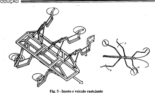 Fig. 5 - Inseto e veículo rastejante 