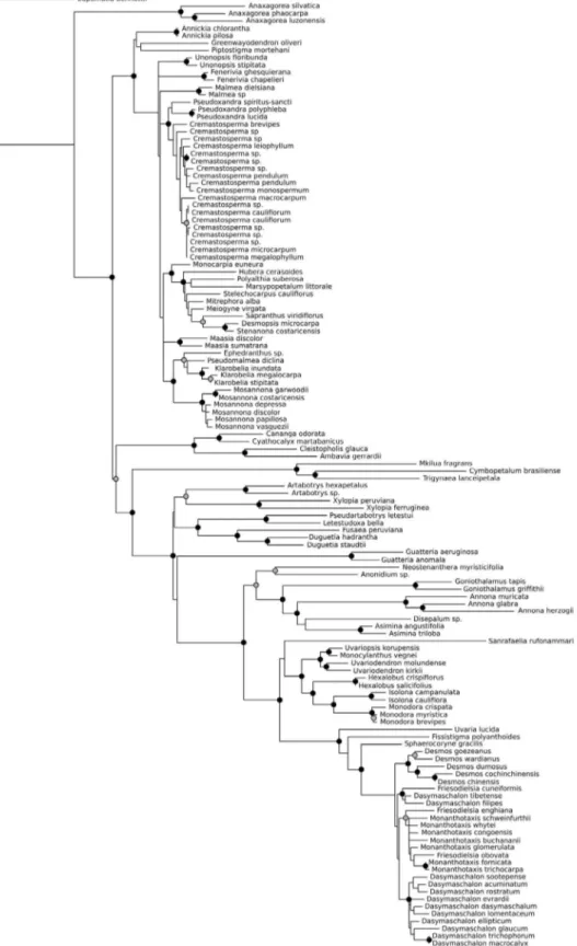 FIGURE 1-  Phylogram of the 129-species data set obtained from RAxML analysis. Black-filled circles  indicate bootstrap support ≥ 95%