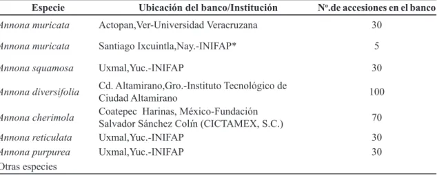 CUADRO 3  - Conservación ex situ (bancos de campo) de especies de Annona en México por la Red de  Annonaceae.