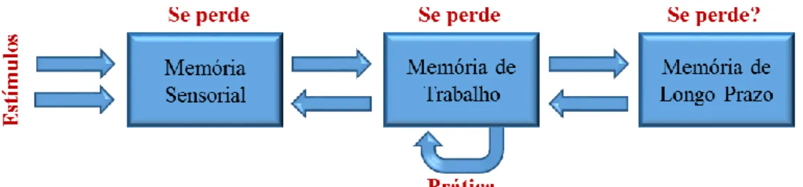 Figura 1: Representação do Modelo Modal da Memória 