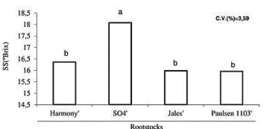 FIGURE 1- Soluble solids content (ºBrix) in ‘Thompson Seedless’ grafted on rootstocks ‘Harmony’, 