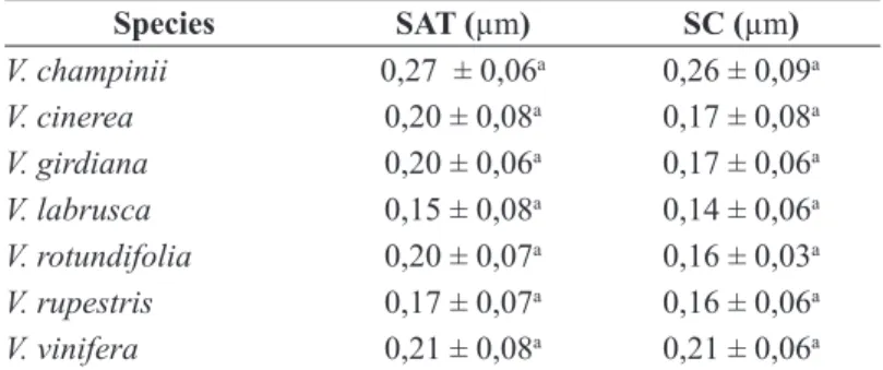 TABLE 2- Mean values in micrometer (µm) of secondary constriction (SC) and satellite segment (SAT)  for V