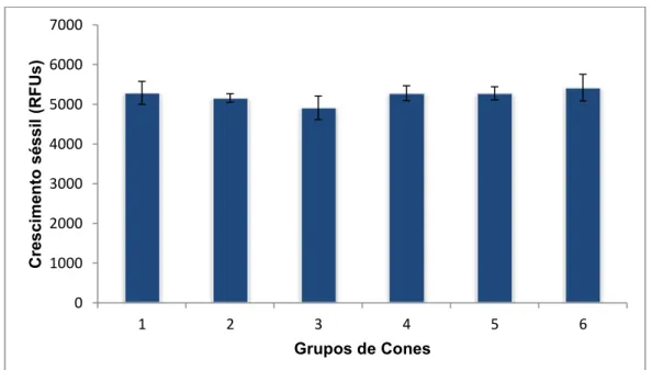 Gráfico 3- Crescimento séssil de C. albicans na presença de cones de guta-percha avaliado por  resazurina (RFUs- Relative Fluorscence Units)