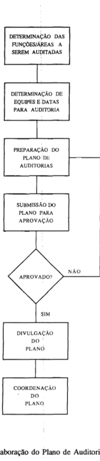 Fig.  1 - Elaboração  do  Plano  de  Auditorir.s 
