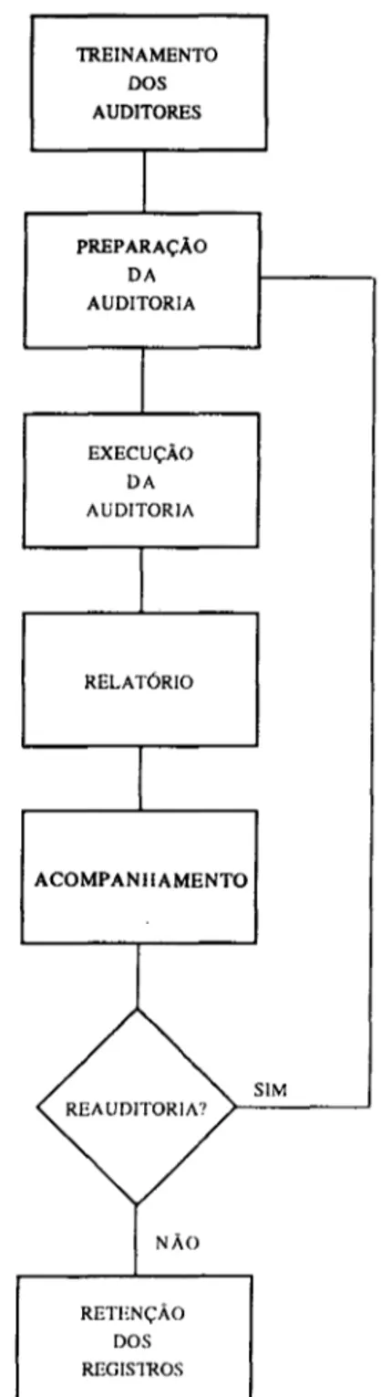Fig.  2  - Etapas de  uma  auditoria 