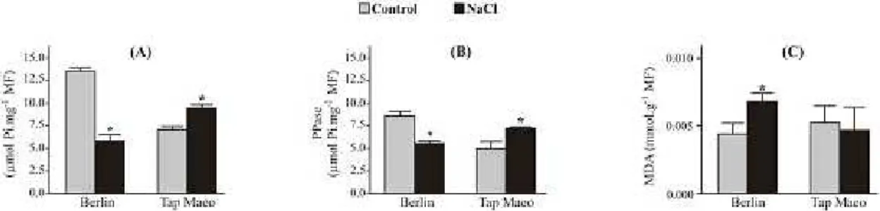 FIGURE 3 - Hydrolytic activity of P-atPase and PP i ase and MDa concentration in roots of banana  genotypes grown for 7 days with or without 50 mol m -3  Nacl in the nutrient solution