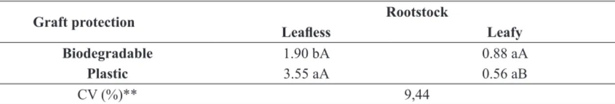 TABLE 3- Interaction deployment of Graft protection (Biodegradable ribbon and Plastic ribbon) x Rootstock  (Leafless and Leafy) for number of rambutan growths in experiment 1