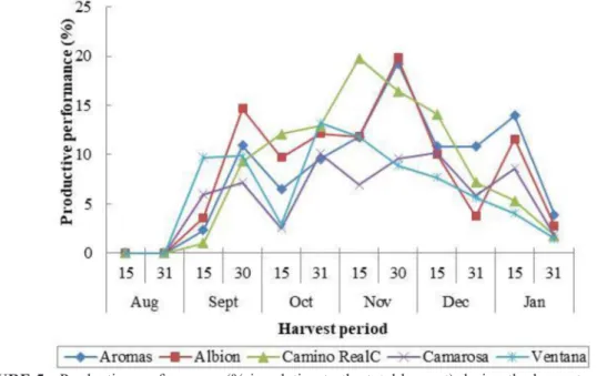 FIGURE 5 - Productive performance (% in relation to the total harvest) during the harvest period of the  seedlings cultivars from the Chile nursery intercropped with fig tree