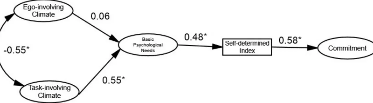 Figure 1. Standardized individual parameters—Hypothesized model. Note. (*) significant paths