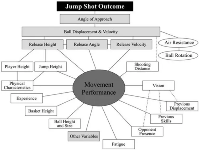 Figure 7. Virtual target of the basket rim as a function of the angle of entry of the basketball (from  Okazaki et al., 2015) 