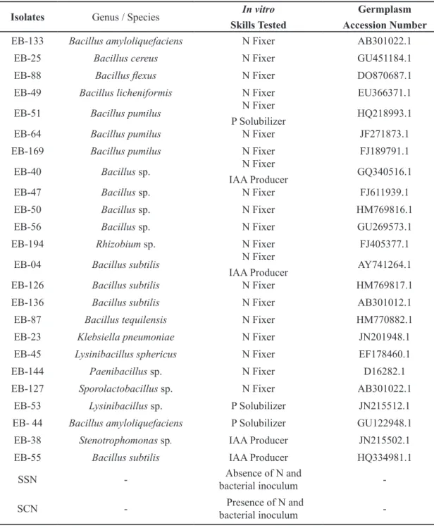 TABLE 1- Isolates of endophytic bacteria identified as nitrogen fixers, phosphorus solubilizers and producers  of 3-indole acetic acid and two controls (SSN and SCN) used in the three bioinoculation assays  in ‘Prata Anã’ banana micropropagated seedlings, 