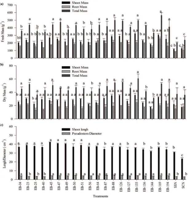 FIGURE 1- Effect of inoculation of 20 isolates of diazotrophic endophytic bacteria on micropropagated 