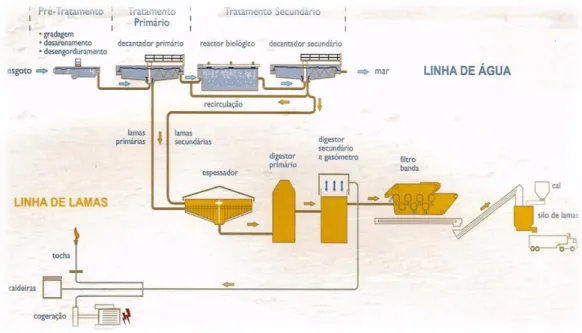 Figura 16-Diagrama do processo de tratamento da ETAR Norte 