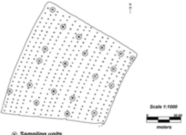 FIGURE 1 - Location of sampling units in the experimental area. Nova Laranjeira-PR. Brazil, 2008.