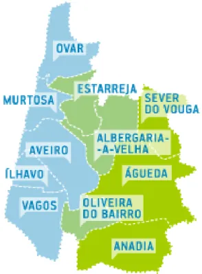 Figura 8. Mapa da Comunidade Intermunicipal da Região de Aveiro 