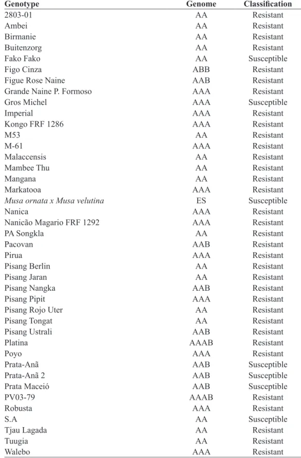 Table 1- Description of the banana genotypes used in the genetic resistance test to Fusarium oxysporum f
