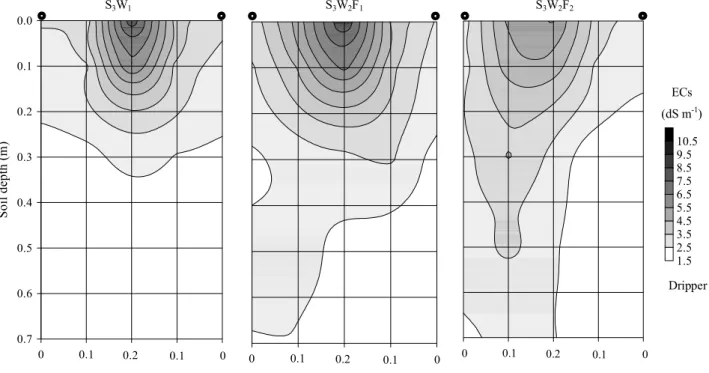Figure 3. Salts distribution in the soil profile for the different irrigation water depths and management
