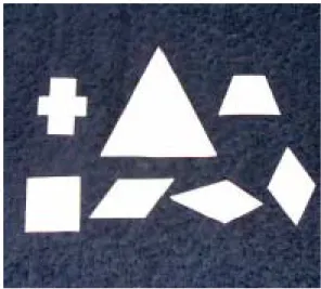 Figura 3.2: Polígonos em papel canson