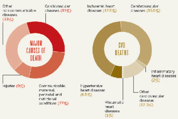 Figure I.1 -  Cardiovascular diseases are the main cause of death in the world (31%). The ischaemic heart diseases and the  cerebrovascular diseases promote the major part of the CVD deaths