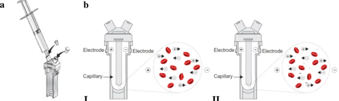 Figure  III.7  -  Process  for  inserting  the  sample  into  the  folded  capillary  cell  (a)