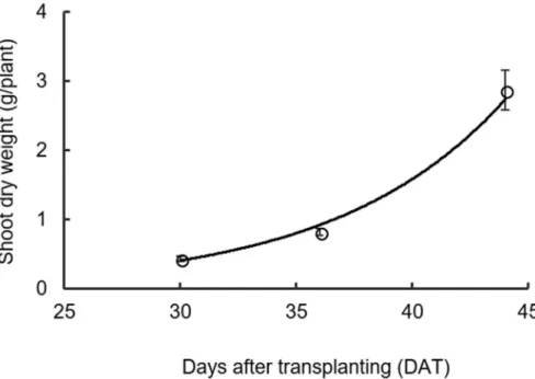 Fig. 3. Relationship between shoot dry weight (g/plant) and days after transplanting (DAT)