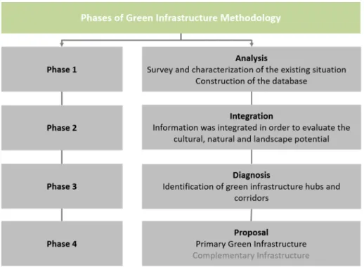 Figure 2. Phases of the operative process. 
