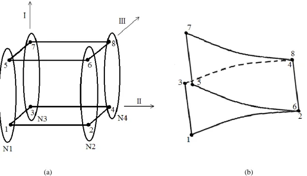 Figura 9 - Posicionamento dos nós constituintes dos elementos finitos de interface: (a) pares de nós  homólogos; (b) propagação do dano