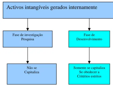 Figura 1.4 Goodwill e Outros Activos Intangíveis 