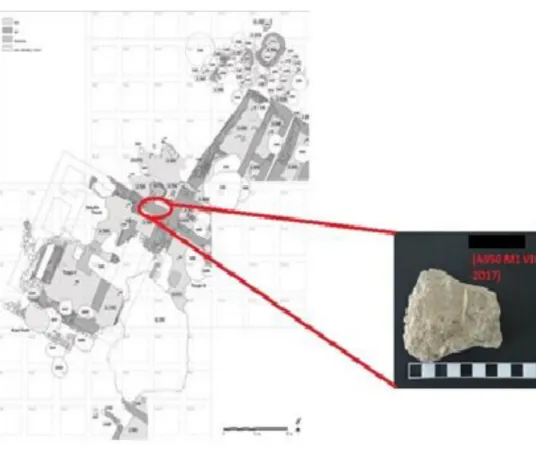Figure 17 Sample A950 M1 VII 2017 came from  A950, the lateral small storing room on the north eastern side of Temple C
