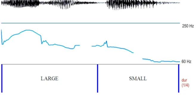 FIGURA  2:  Forma  de  onda,  contorno  da  freqüência  fundamental  no  padrão  da  modalidade interrogativa de Large or small? 