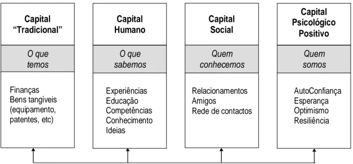 Figura 1.2 – Capital Económico, Humano, Social e Psicológico  Adaptada de Luthans F., Luthans, K