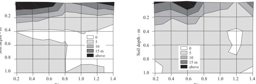 FIGURE 3 – Root distribution of banana cv. Pacovan in the horizontal (distance) and vertical (soil depth) directions at 286 (left) and 370 (right) days after planting