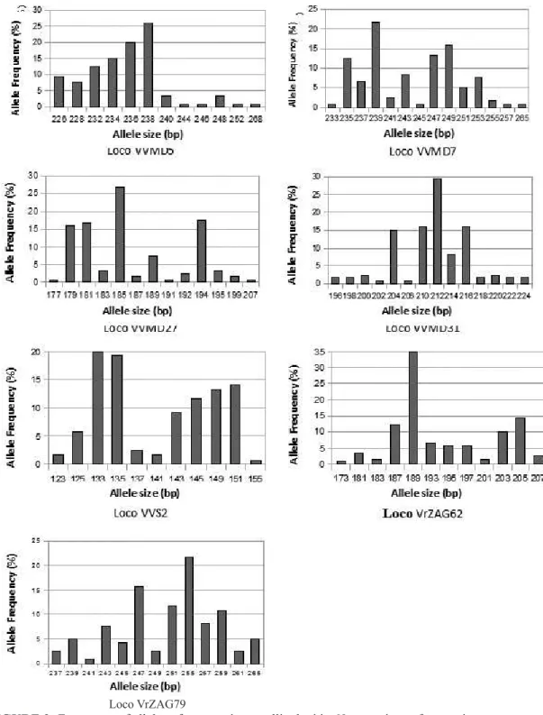 FIGURE 2- Frequency of alleles of seven microsatellite loci in 60 accessions of grapevine.