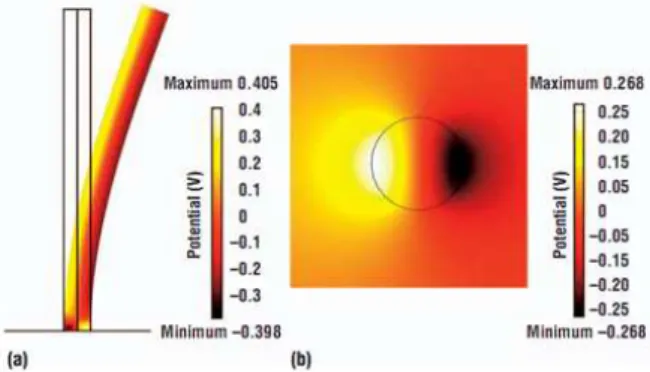Figura 1.22: Distribuição do potencial eléctrico numa nanofibra de ZnO com 50 nm de diâmetro e 600 nm de comprimento quando sujeito a uma força lateral de 80 nN: (a)  lat-eral (b) vista de cima com corte latlat-eral a meia altura da fibra, [36].