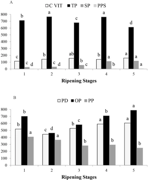 figure 3 -A – Average ascorbic acid contents, total pectin (TP) and soluble pectin (SP) in mg/100 g fresh  tissue and percentage of pectin solubilization (PPS); B – Average values (mg/100 fresh tissue) of  phenolic dimers (PD), oligomeric phenolics (OP) an