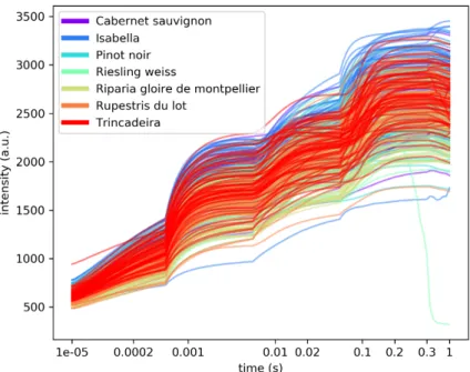 Figure 2 shows the superimposition of all rapid fluorescence induction curves recorded.