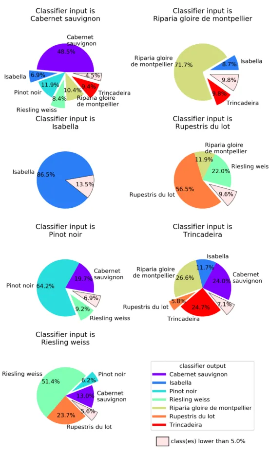 Figure 4. K-nearest neighbors (KNN) output for each of the possible seven input Vitis genotypes